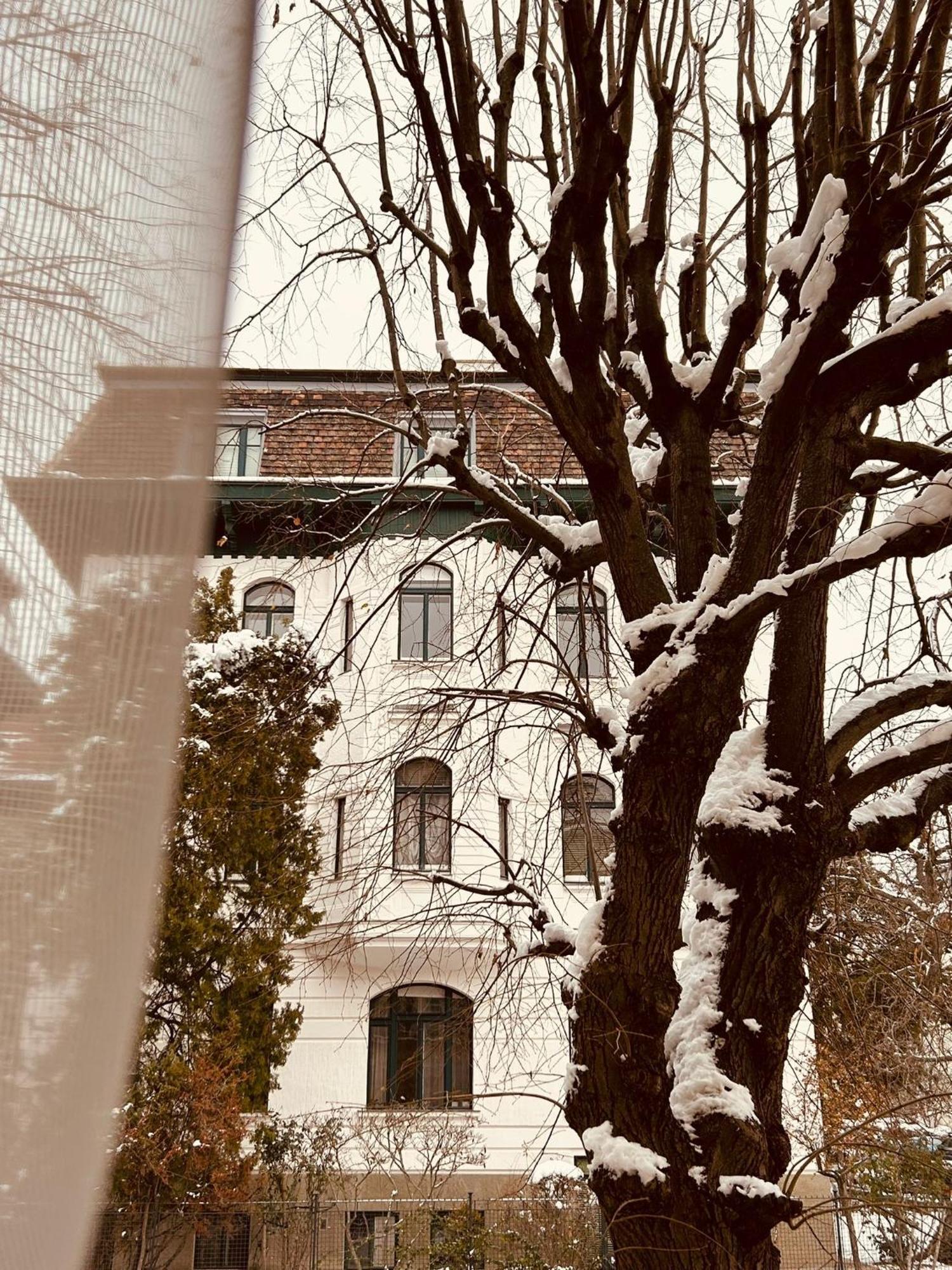 Apartment 5 Min Schoenbrunn Gloriette, Direct To City Center, Free Parking Vienna Esterno foto